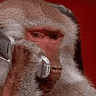 MONKEPHONE